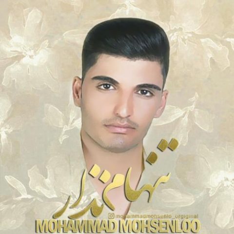 دانلود آهنگ جدید محمد محسن لو با عنوان تنهام نزار